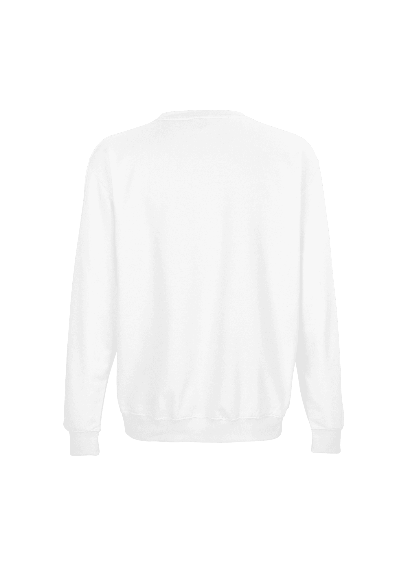 Sweat Adulte Blanc 003 Toulon Tremplin FC - TTFC03-LOGOTTF-COLUMBIABLANCDOS